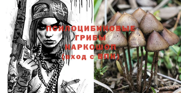 мескалин Осташков