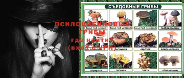 MDMA Premium VHQ Нязепетровск