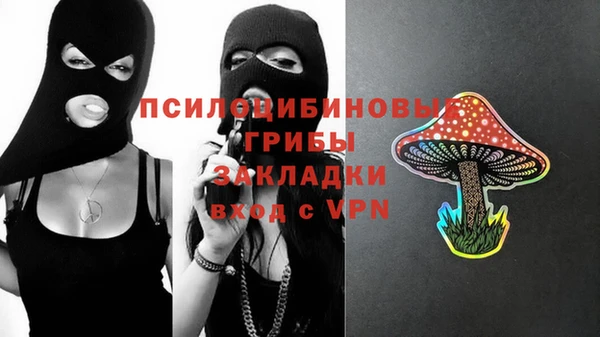 MDMA Premium VHQ Нязепетровск
